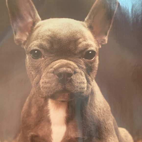 Meet your Posher, Arielle - Picture 1 of 1